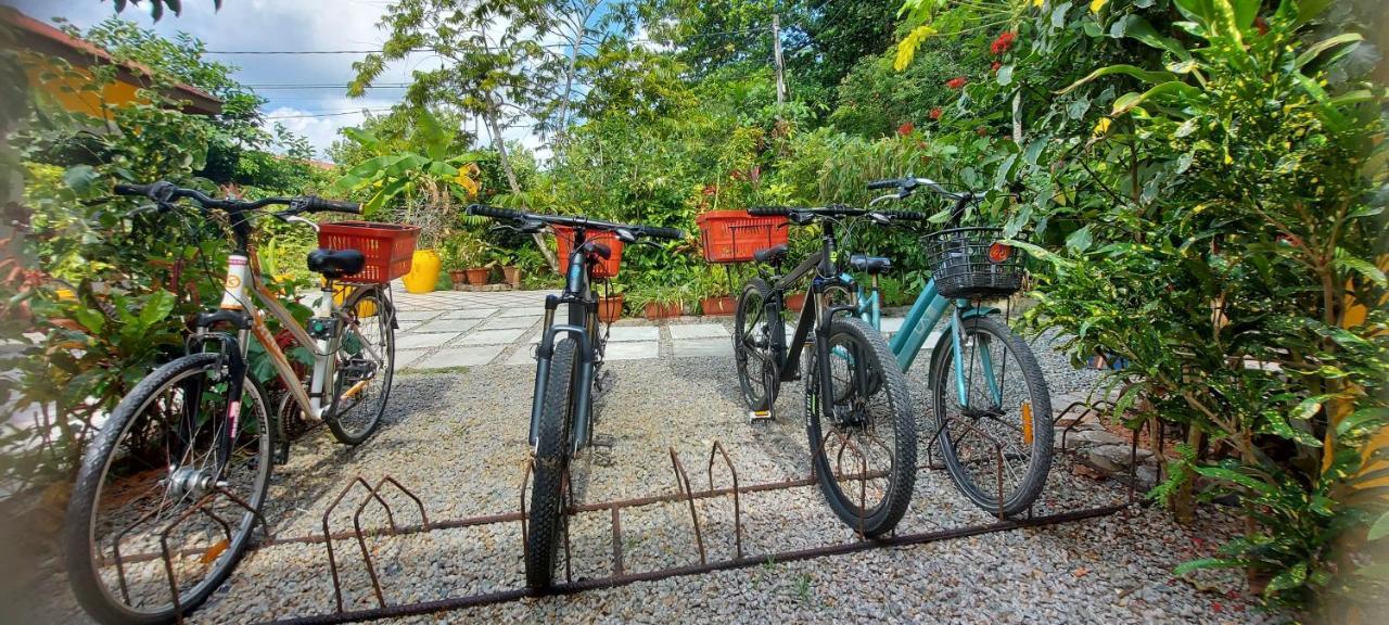 Chez Mera Self Catering La Digue Exterior photo